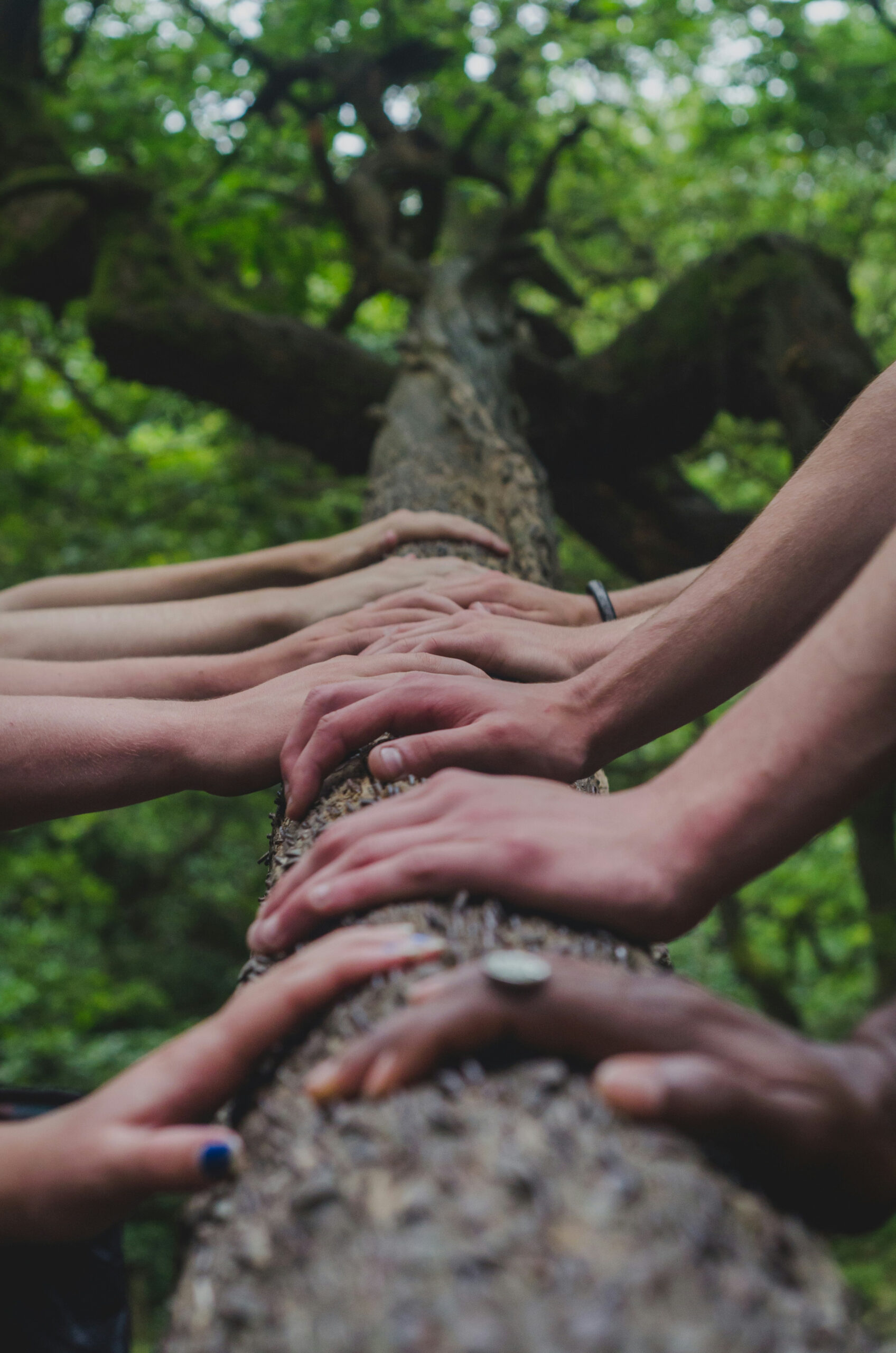 ”Harmonious togetherness, richer culture ”